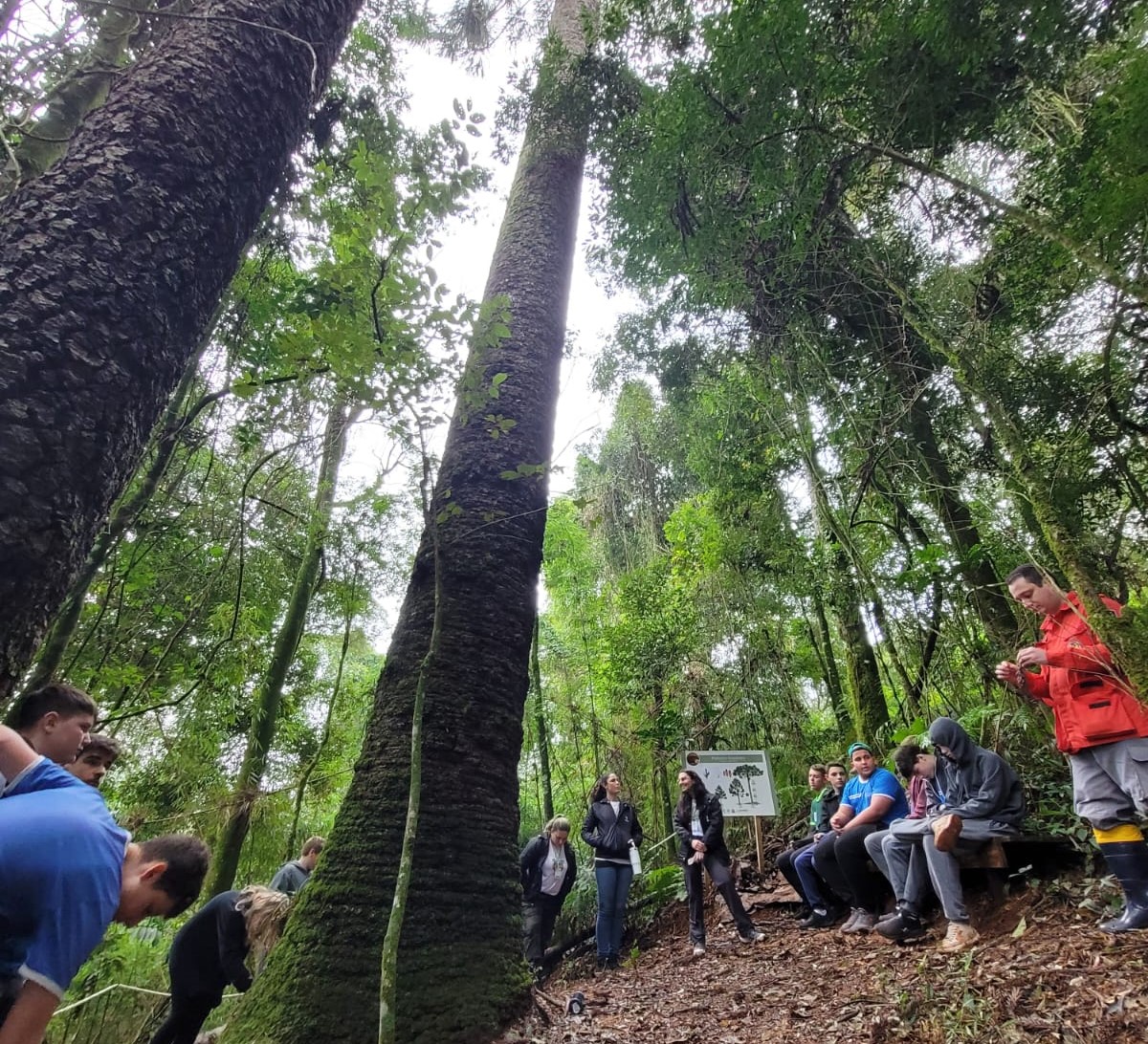 Read more about the article Projeto “A Criança e a Natureza” inicia ciclo de visitas de 2026 em Piratuba