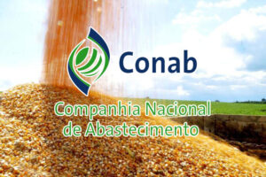 Read more about the article Aberto o prazo para pedidos de milho da Conab