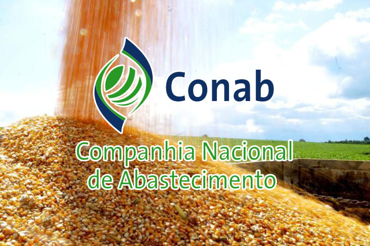 You are currently viewing Aberto o prazo para pedidos de milho da Conab