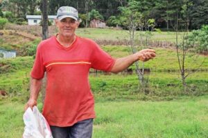 Read more about the article Agricultores de Piratuba só pagam 50% na aquisição de sementes de pastagem
