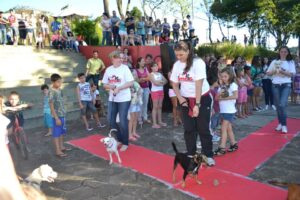 Read more about the article Final de semana com muitas opções nos 63 anos de Seara