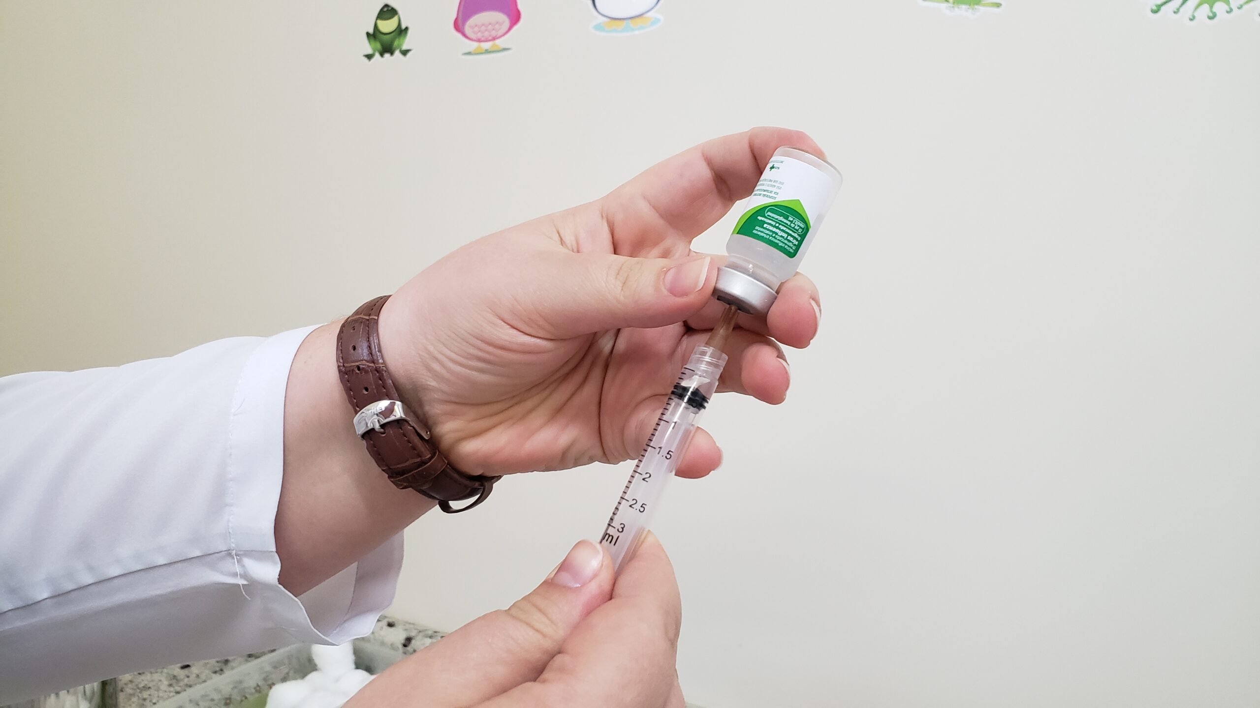 You are currently viewing Piratuba tem dia d de vacinação contra a gripe influenza no sábado