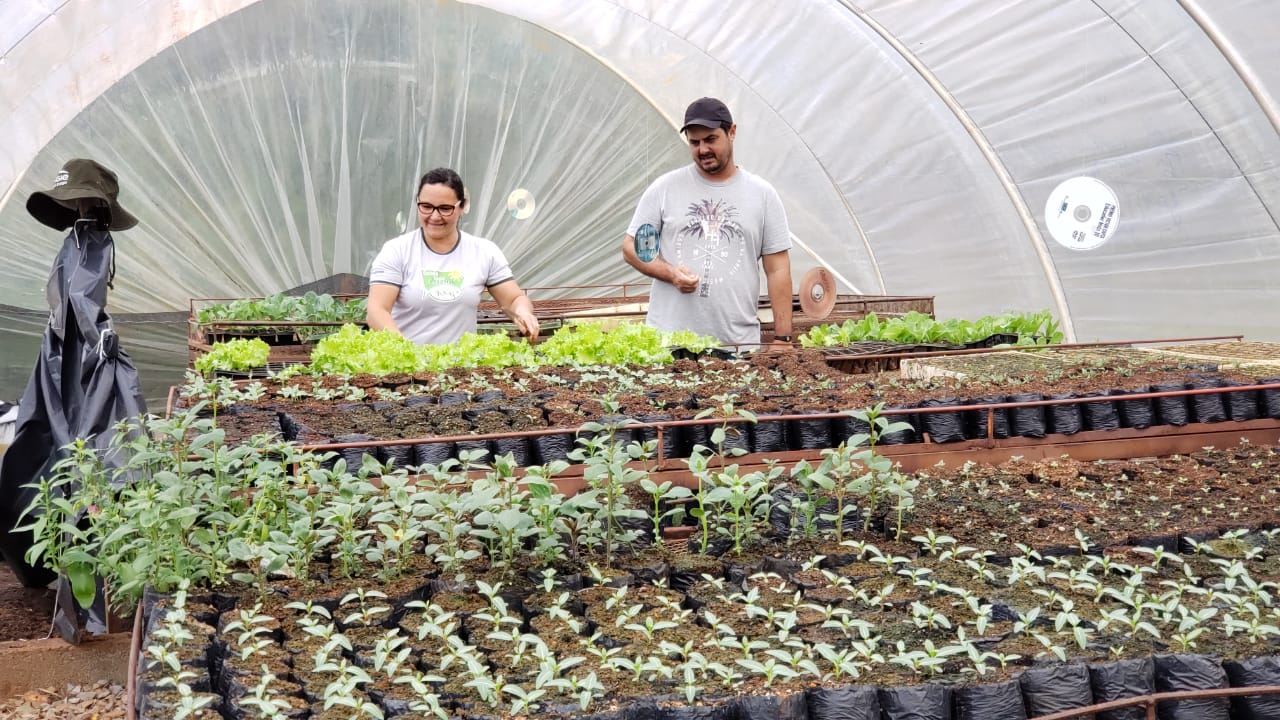 You are currently viewing Horta incentiva produção agroecológica em escola ambiental de Piratuba