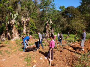Read more about the article Fumdema realiza plantio de árvores nativas em faixa ciliar