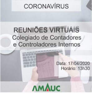 Read more about the article REUNIÃO CONTADORES E CONTROLADORES INTERNO