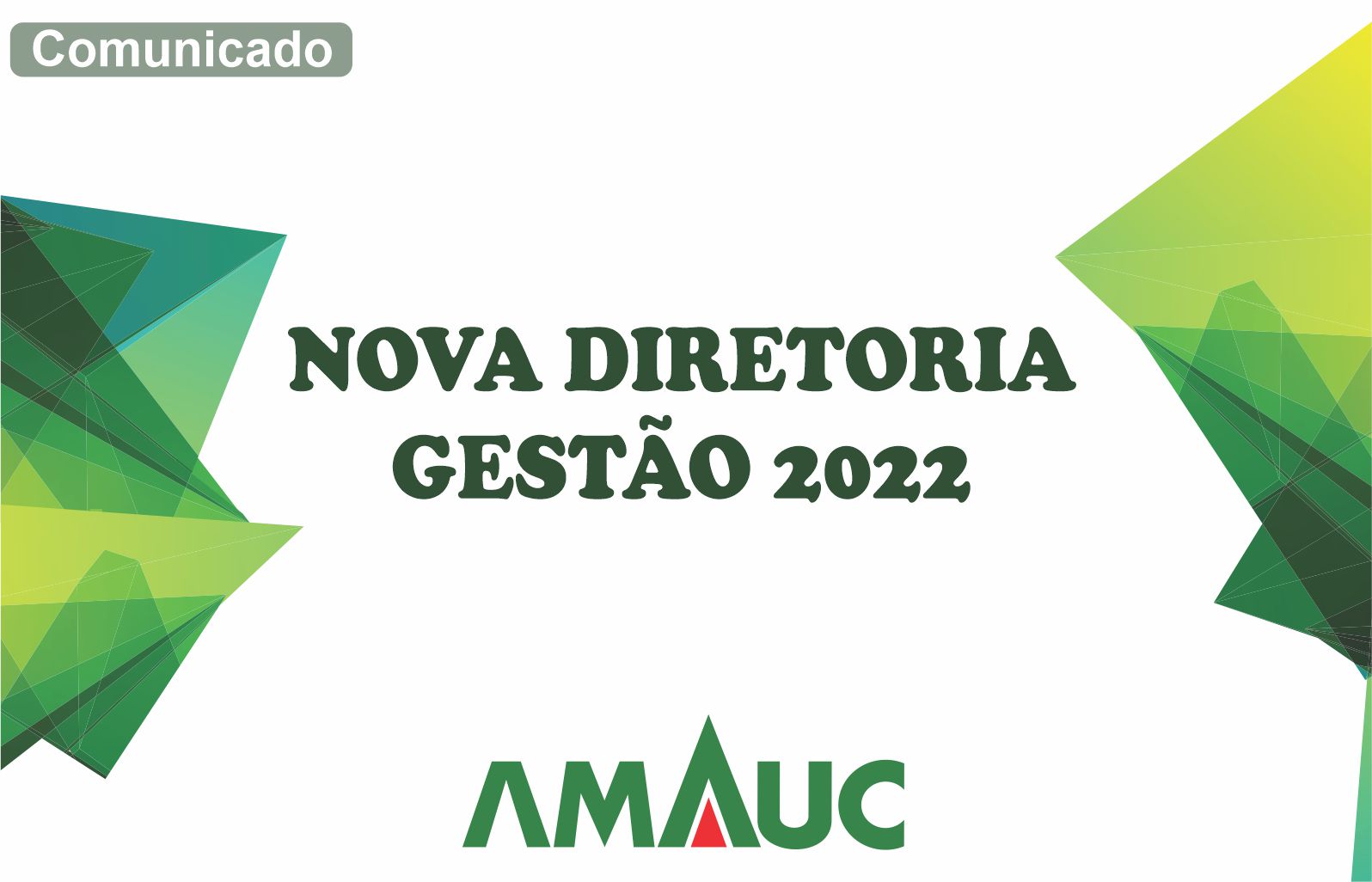 Read more about the article Diretoria Gestão 2022