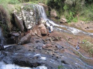 Read more about the article Bromélias típicas da bacia do uruguai são introduzidas em cascata de Ipira