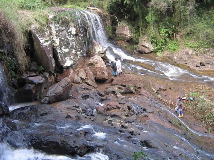 You are currently viewing Bromélias típicas da bacia do uruguai são introduzidas em cascata de Ipira
