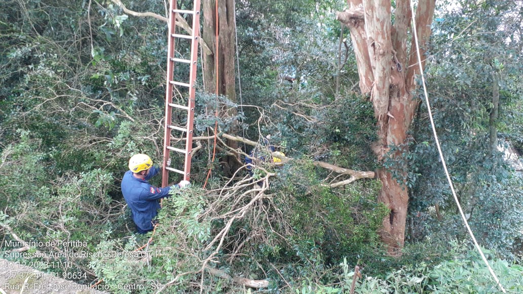 You are currently viewing Consórcio Lambari acompanha trabalho de corte de árvores em área de risco, em Peritiba